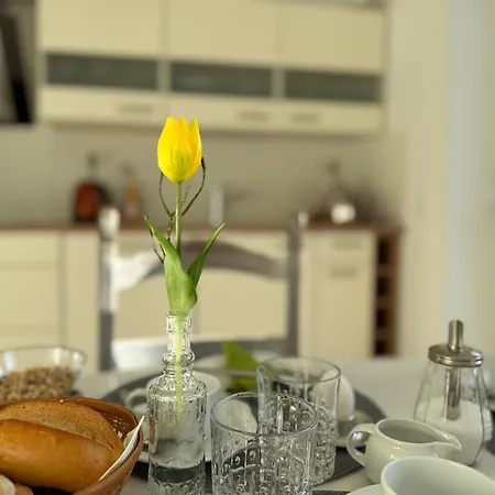 Historie Trifft Moderne Apartment *