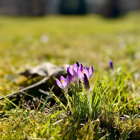 Historie Trifft Moderne Apartamento