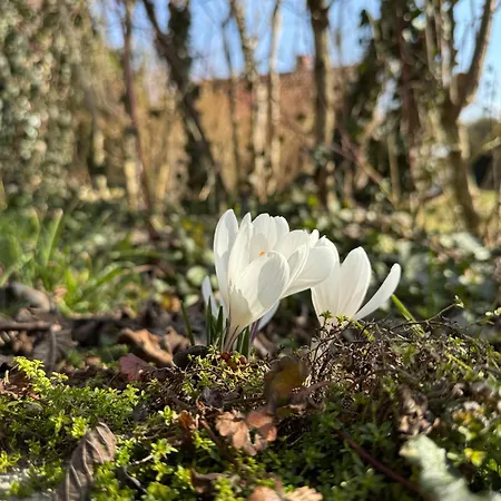 Historie Trifft Moderne Apartamento Weikersheim