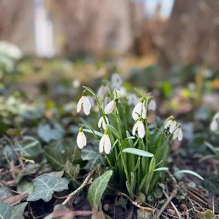 Historie Trifft Moderne Apartamento