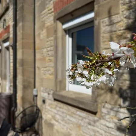 Apartamento Historie Trifft Moderne Weikersheim