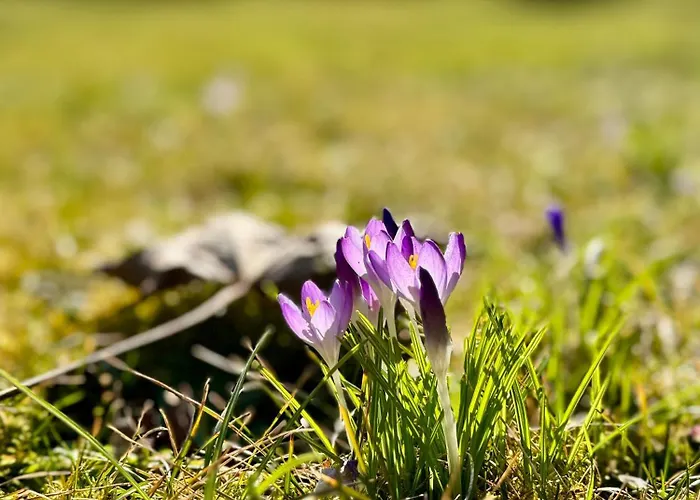 Historie Trifft Moderne Apartment