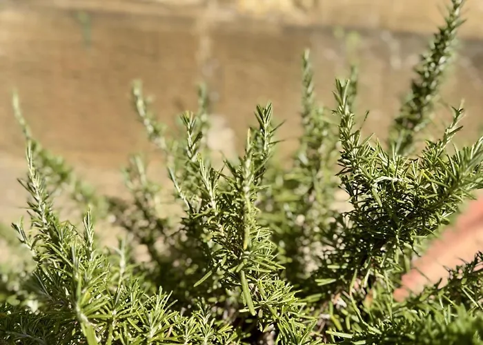 公寓 Historie Trifft Moderne *