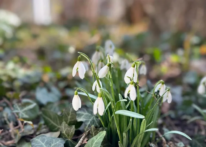 Historie Trifft Moderne 公寓