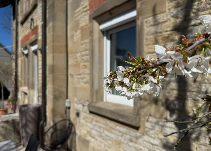 公寓 Historie Trifft Moderne 魏克尔斯海姆