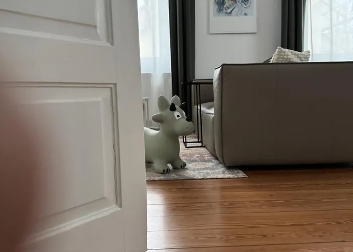 Historie Trifft Moderne 公寓