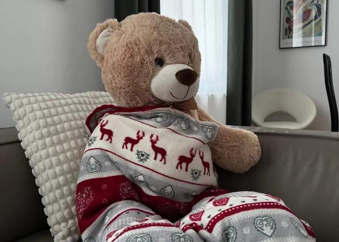 Historie Trifft Moderne 公寓